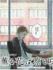 职场题材剧集季度报告封面占位图